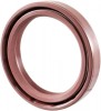 30x62x7mm TC / R23 Double Lip Viton Rubber Metric Rotary Shaft Oil Seal with Garter Spring