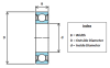 628/6-2RS1 SKF Bearing