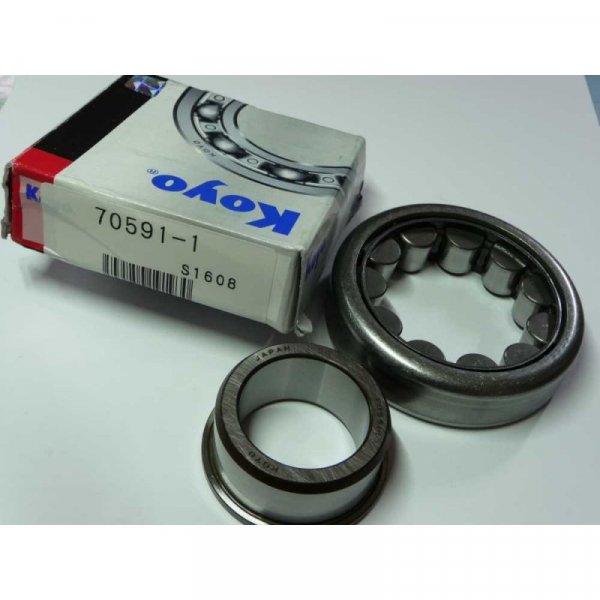 KOYO 70591-SH 70591-1 Cylindrical Roller Bearing 30x70x19.6mm