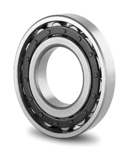 N305 Budget Single Row Cylindrical Roller Bearing 25x62x17mm